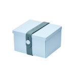 Light Blue Box w/ Petrol Strap Small