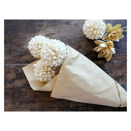 Dried Snowball Flowers