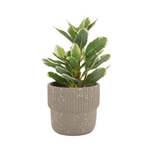 Plant Pot Speckled Cap Grey