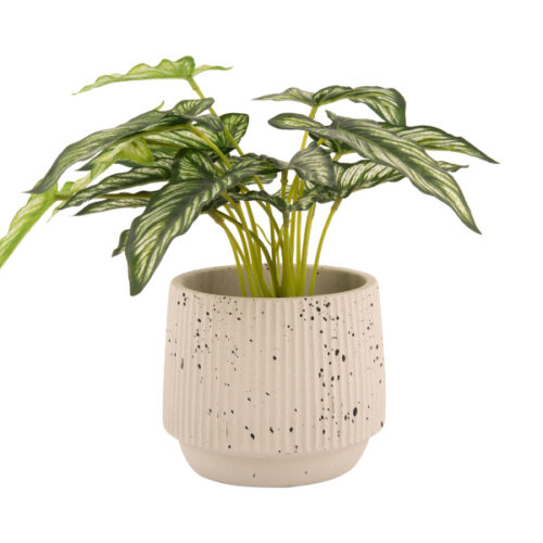 Plant Pot Speckled Cone Ivory